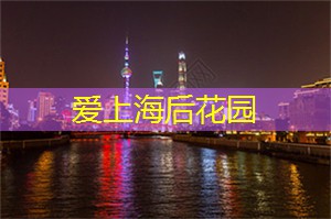 上海工作室大揭秘！潜藏行业瑰宝等你探索！