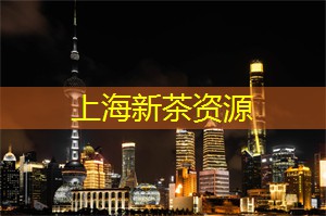 上海的低碳骑行活动