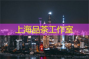 醉倒在夜色中的魔都探险